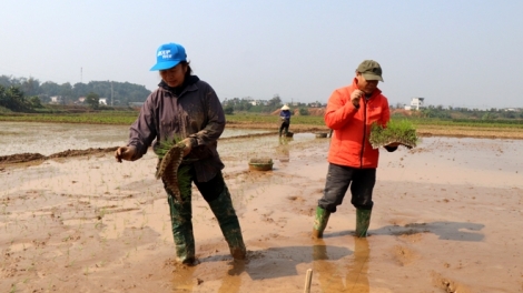  Chương trình phát thanh quam Tay thứ 4 mự 08 bườn 02 pì 2023