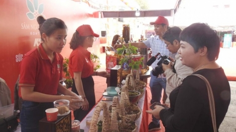 Kon Tum pơxiam po kơchơ Sâm ngọc Linh rôh má  2