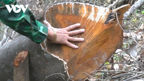 Crâng a’bhưy pa hư, chính quyền vel đông moon tu đhêy Tết nắc zư crâng cắh liêm nhâm