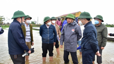 Thừa Thiên Huế: K’rong trôông dấc k’nặ 7.600 héc ta haroo crêê nong đác
