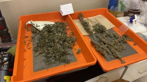 Đà Nẵng: Bơơn lêy k’tiếc k’ruung lơơng choh cần sa coh phòng