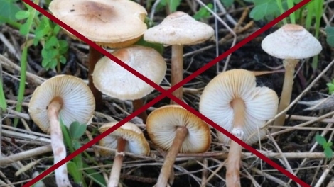 Cha tri crâng crêê độc, 1 cha năc lâh chêệt