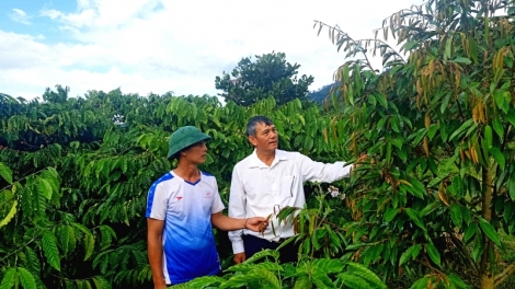 Dăk Lăk: Ờng gar sơntìl tơnguh bơtàu đảng viên tàm xã tiah ngài Yang Mao