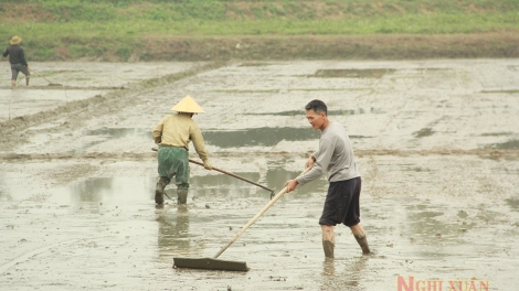 Ngon tô thứ 3 mự 07 bườn 02 pì 2023 –    Po hay me na Điện Biên phọn nương lông tông mua xuân