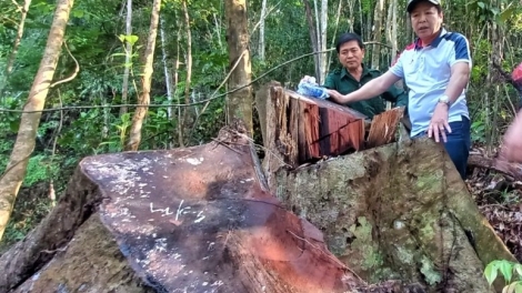 Đông Giang: K’đươi hân đơơh bhrợ bha ar, xay moon ch’mêêt lêy pa ghit g’luh pa hư crâng đhị chr’val Tư