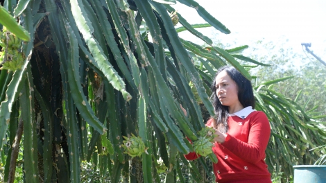 Amoó Nguyễn Thị Hiền-Pa dưr pa xớc pr’ắt tr’mung pr’loọng đông đhị zr’lụ k’noong k’tiếc