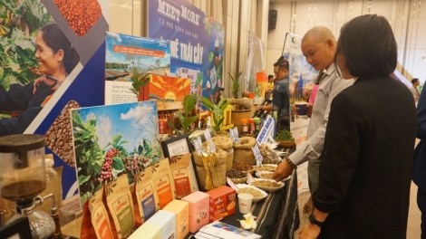 Dak Lak hop báo Lễ hội Cà phê Buôn Ma Thuột tâl 8