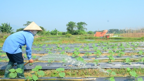  Ngon tô thứ 3 mự 28 căm bườn 2 pì 2023 – San luông pồng chằư chơ lăm đù cò mua nào