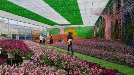 Lâm Đồng droh rklaih kol khan gay hun hao pâl nđaih tuch tăm mât rong