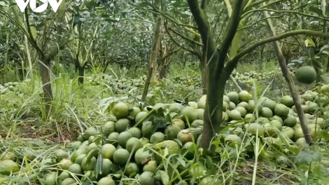 ពត៌មាន ម៉ោង ១៥