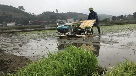 Quam kháo phổng Tày Bắc thứ 4 mự 15 căm bườn 02 pì 2023