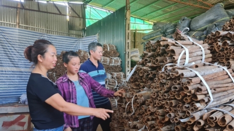 Chương trình phát thanh quam Tay thứ 2 mự 13 bườn 02 pì 2023