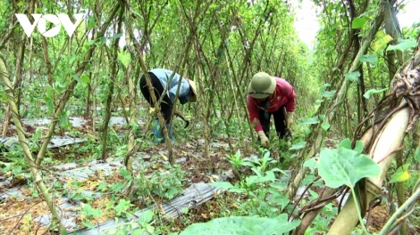 URANG NONG DI BHUM CEIK JHUL PATAGOK BRUK NGAK NONG NGAK TABIAK PANDAP PANDA MENG DI AKAOK THUN