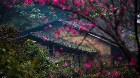 DIM CHÈN PỔN CÚA NHÀ NƯỚC SLE TẢ KHỎ DÚ BÚNG SLUNG