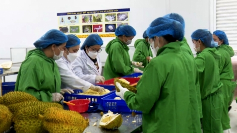 Nùs nhơm lik lơh broă bồ nam pa Quý Mão