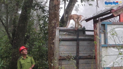 P’loh 3 p’nong bhọot chr’năp pr’hắt chô ooy crâng