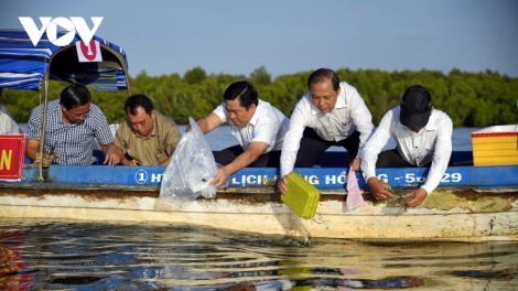 ពត៌មាន ម៉ោង ១១