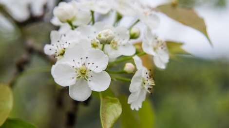 CHƯƠNG TRÌNH KHAY HENG TIỂNG TÀY NÙNG  (Thứ Tư- Vằn 08/02/2023)