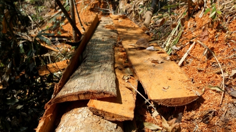 Pa hư crâng a bhuy đhị chr’val Tư, chr’hoong Đông Giang, tỉnh Quảng Nam 