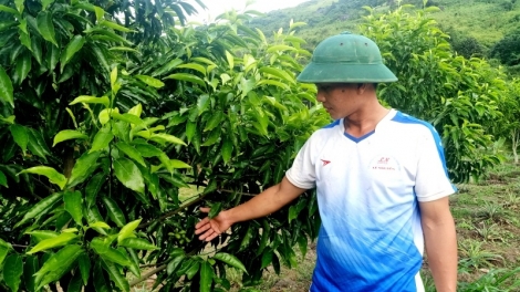 Đăk Lăk: Akŏm hơtŏk đảng viên tơ̆ tơring ataih yaih Yang Mao