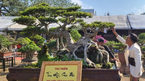  Dak Lak: Ntơm ƀư mpla nsơ, mbơh tơih, Rgum tâm rlong sinh vật cảnh 