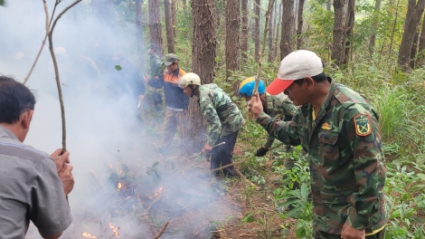Gialai: Pơgang pơgăn apui ƀong dlai tui jơlan gah 4 mơta bruă ƀơi anun