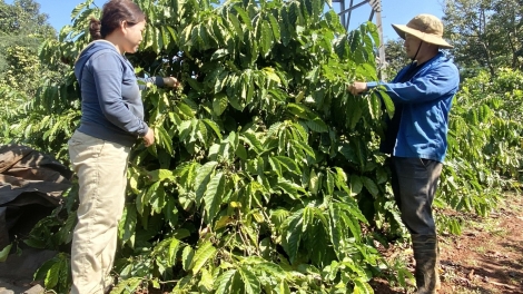 Mpồl sơlơ pràn kơnờm bơh ală đảng viên lam lài