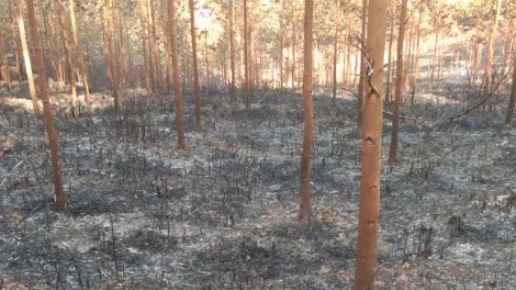 Tỉñ ủy Kon Tum sồr lơh loh dơ̆ ồs sa brê tam tờm ƀạch đàn lơh 2 nă cau chơ̆t  