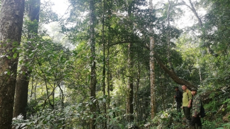 Kiăng rơnoh djru lăp djơ̆ brơi mơnuih ƀôn sang dưi “hơdip” mơng bruă pơgang dlai