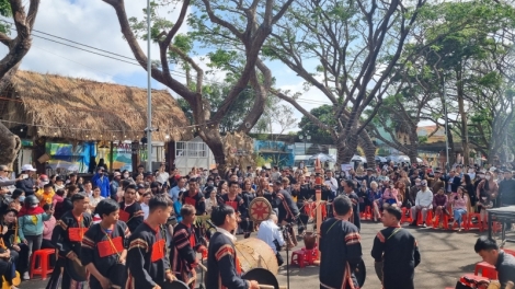 Jơnum ngui bruă kơphê pơbŭ đĭ gru grua hiam kơphê Dak Lak