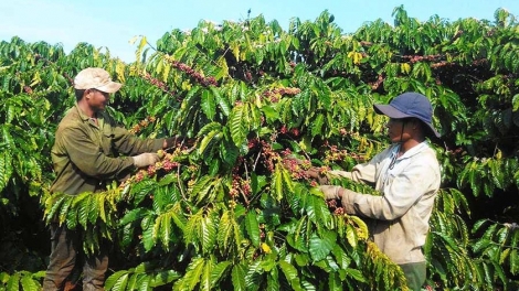 Ăp nuĭh ƀon lan răm m’ak uĕh lăng