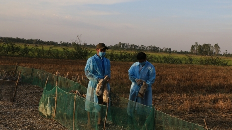 BHUM TANERAN KRAONG CUU LONG CAGA PACANG KUM MENUK ADA