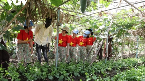 ពត៌មាន ម៉ោង ១១