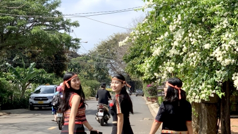 Dak Lăk: Plơi pla dik dăk čơkă hrơi jơnum ngui kơphê