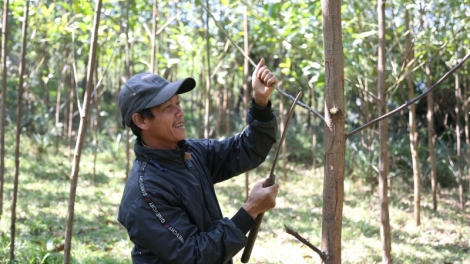 Quảng Bình sền gròi tơmŭt Đảng ai uă làng bol kòn cau dùl ết nă cau in