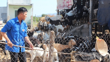 BRUK PATAGOK KINH TE DI DAM DARA BANGSA TAKIK DI BINH THUAN