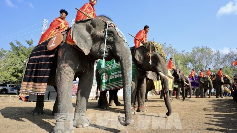 Ngăn rui xuân môi tiah mơngế tung rơpŏng hngêi