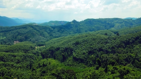 Quảng Nam p’too p’zương đhanuôr k’coong ch’ngai oó dzợ chóh keo đoọng xăl chóh crâng n’loong ga mắc