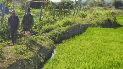 Kon Tum: Kơdroh tro lŭp tung pêt mơjiâng tơmeăm pêi chiâk deăng mơ’nui rơnó tô khăng khoăng