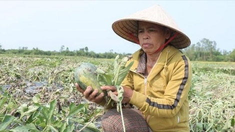 Quảng Nam: Lêy đoọng lấh 750 tỷ đồng zên pa xiêr đha rứt nhâm mâng