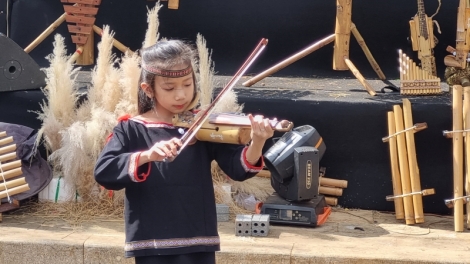 Tơma hòi yàng kòi