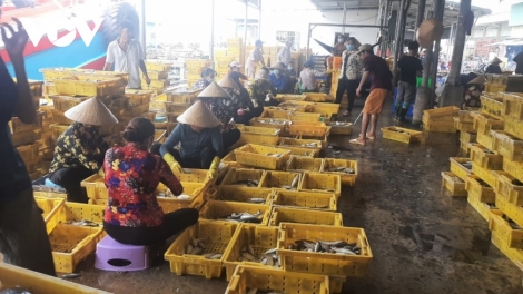 ពត៌មាន ម៉ោង​ ៦