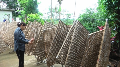 Chương trình phát thanh quam Tay thứ 2 mự 06 bườn 3 pì 2023