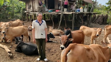 Láng tẩy nhây làn cựu chiến binh