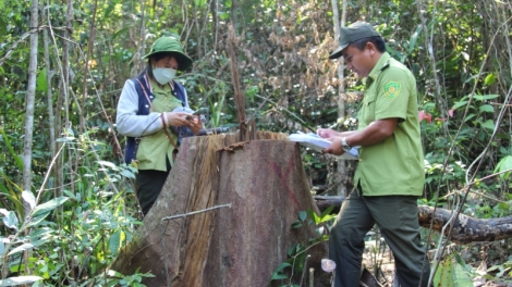 N’leh vaih bh’rợ n’lất n’mốp coh bh’rợ pa hư crâng phòng hộ Vân Canh 