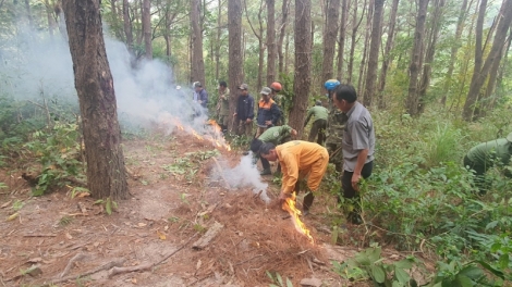   Gia Lai: N’hao trong njrăng n’gang ŭnh sa bri