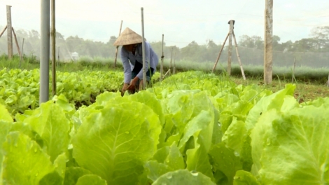 Dự án bhrợ cha Trà Vinh zooi bấc pr’loọng đong đhanuôr Khmer, pân đil lum pr’ắt tr’mông zr’năh k’đhap bơơn pa liêm pa crêê pr’ắt tr’mông