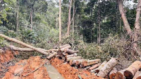 Khánh Hòa: Khởi tố tu bhiệc pa hư crâng đhị zr’lụ bhlưa k’noong