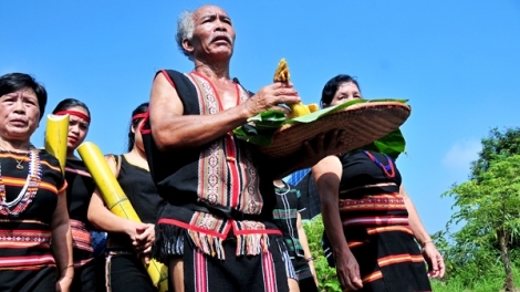 Rủ nhau đi hái rau rừng