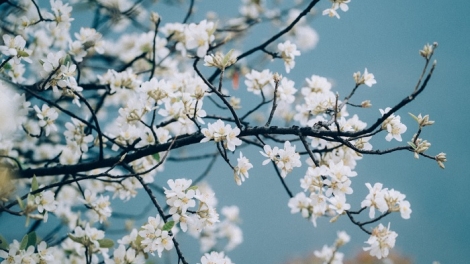 Xor xưv faz Baz hnuz xiêz 14-3-2023